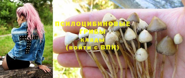 apvp Алексеевка