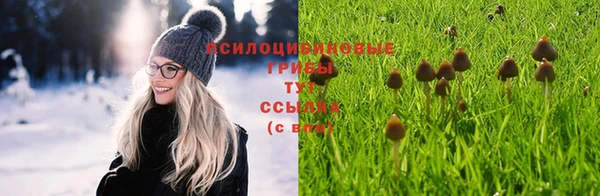apvp Алексеевка