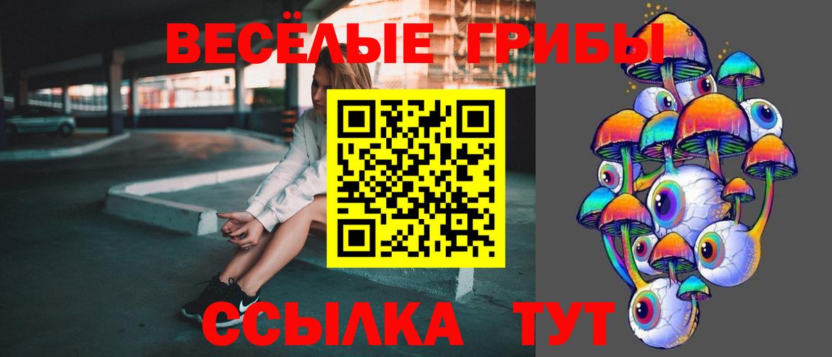 Апрелевка  Псилоцибиновые грибы MAGIC MUSHROOMS  Галлюциногенные грибы прущие грибы  Вход с VPN 